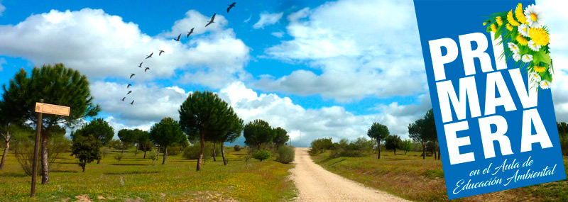 Ornitología en bici