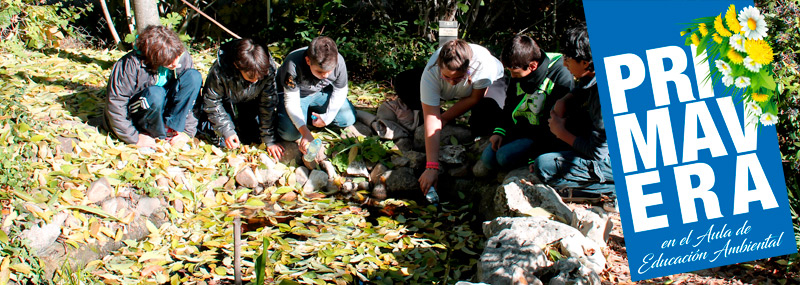 Medir la salud del medio ambiente