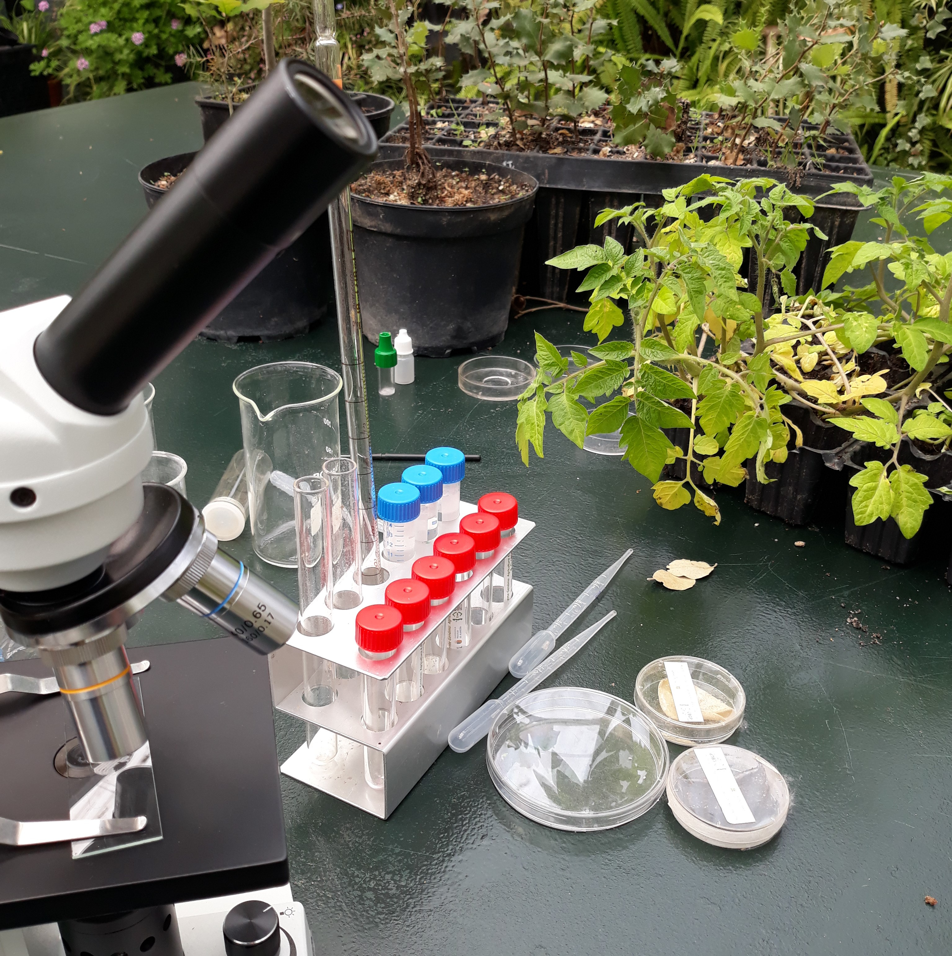 Noche Europea de los Investigadores: “Alimentando tu mente”. Velada inaugural