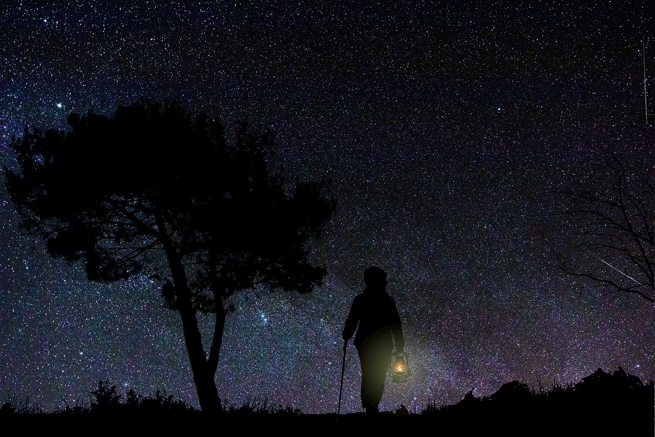 Hora del Planeta: paseo nocturno de las energías renovables.