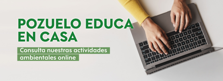 Actividades online del Aula de Educación