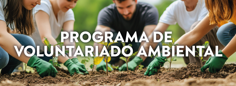 Voluntariado ambiental