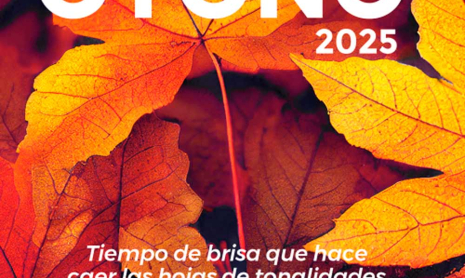 Programa de Otoño