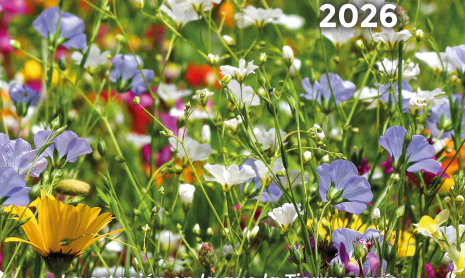 cartel aula en primavera