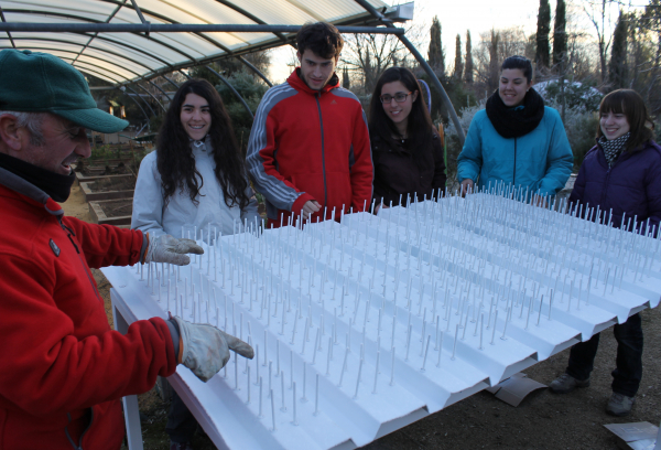 EL AULA DE EDUCACIÓN AMBIENTAL, LABORATORIO VIVO PARA DESARROLLAR PROYECTOS Y PRÁCTICAS UNIVERSITARIAS DE CARÁCTER SOCIAL Y AMBIENTAL