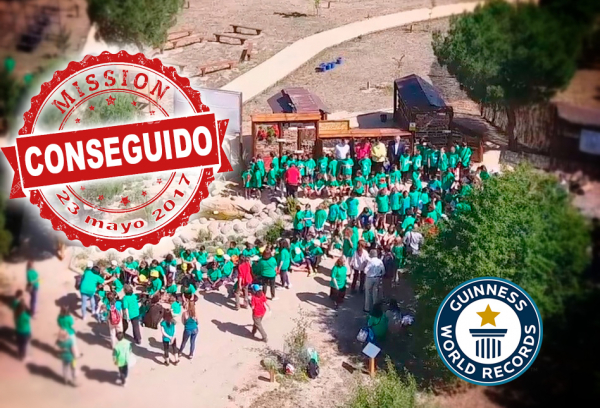 El gran Hotel de Insectos consigue el Record Ginness.